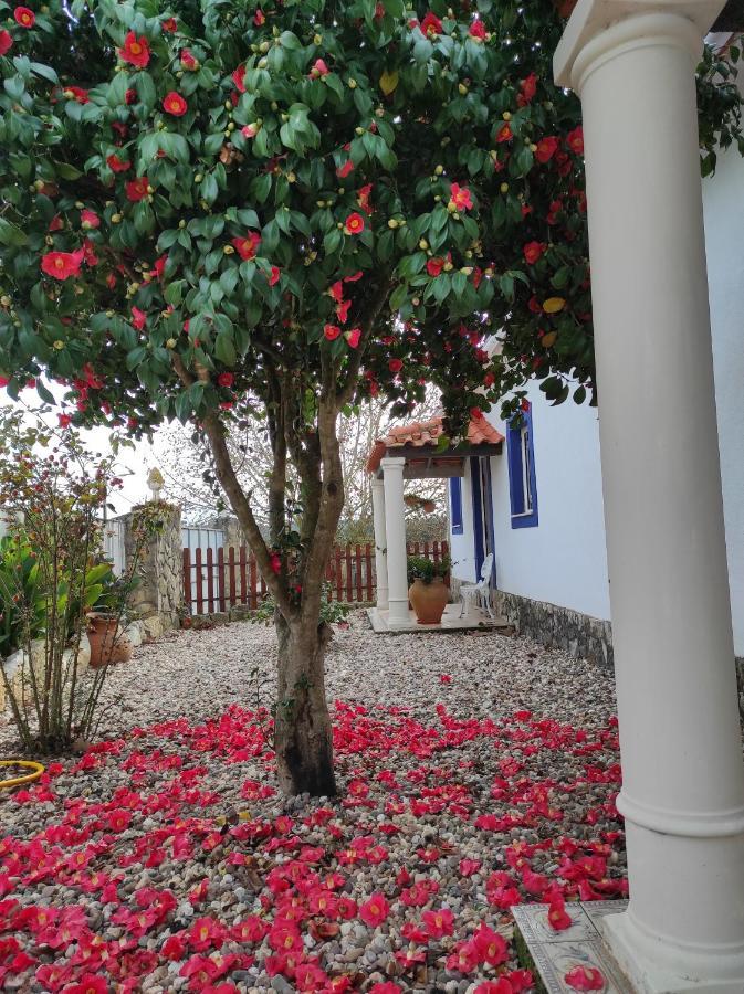 Хостел Fazenda Do Marante Томар Экстерьер фото